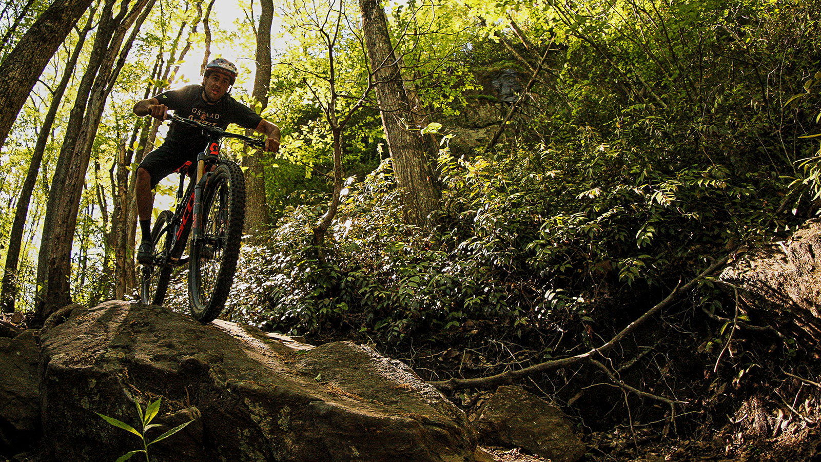 The Top 10 Best Mountain Bike Destinations in the USA Singletracks Mountain Bike News