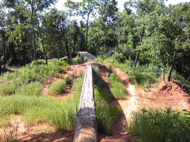 A wooden log bridge spans a dirt path in a forested area, surrounded by lush green grass and trees. The scene captures a natural landscape with sunlight filtering through the leaves, creating a serene outdoor environment. Lake Stanley Draper mountain bike trail.