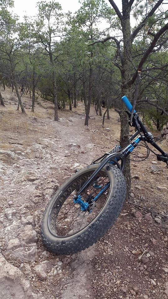 A close-up shot of a mountain bike leaning against a tree on a rocky dirt trail, surrounded by tall greenery. The bike features a thick, treaded tire and a blue handlebar. The path is narrow and lined with small rocks, indicating a rugged outdoor environment. Santa Lucia Portales mountain bike trail.