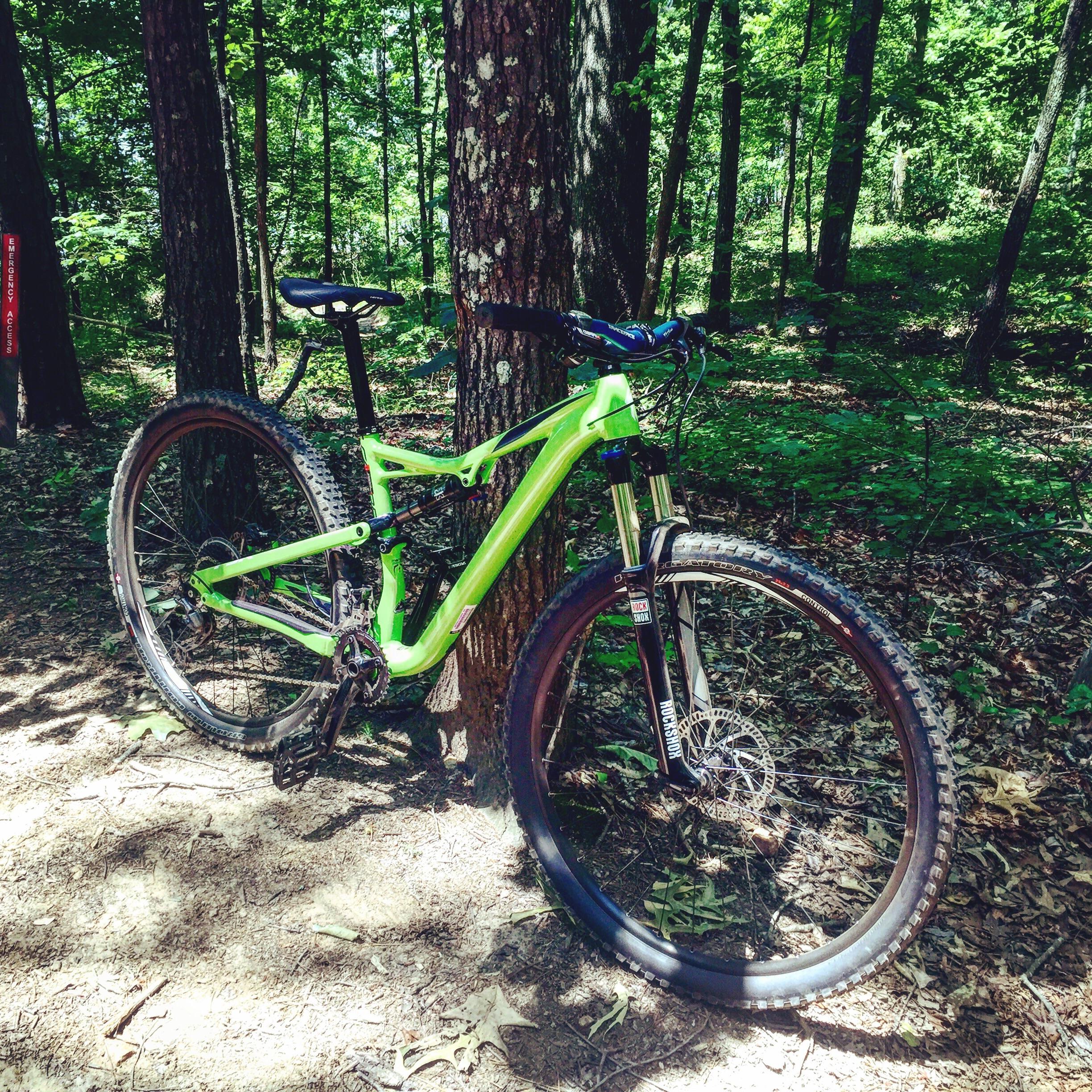 Specialized Camber 29: A bright green mountain bike leaning against a tree in a wooded area, surrounded by lush greenery and a dirt path. The bike features thick tires and a modern design, highlighting its suitability for off-road terrain.