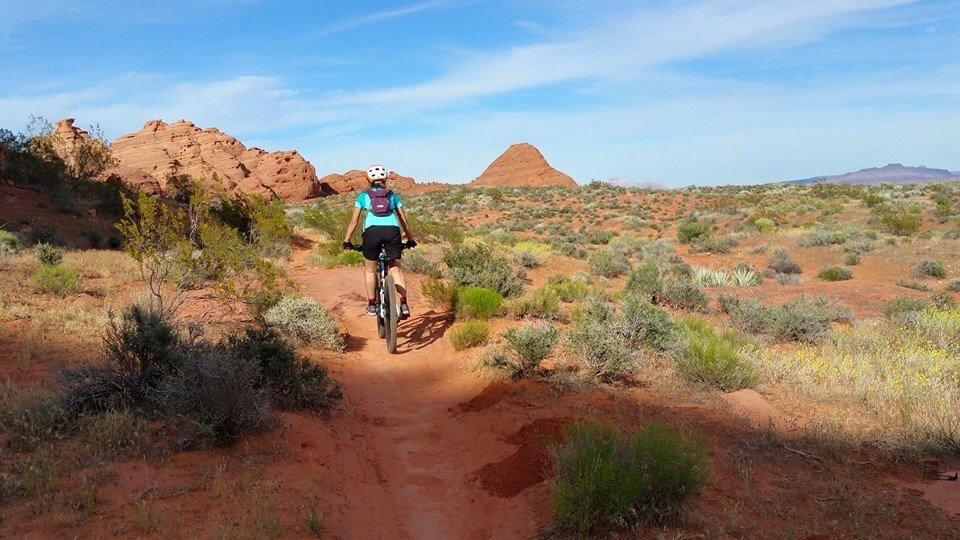 A person riding a mountain bike along a dirt path in a desert landscape, surrounded by reddish rock formations and sparse green vegetation under a blue sky. Prospector - Church Rocks Loop mountain bike trail.