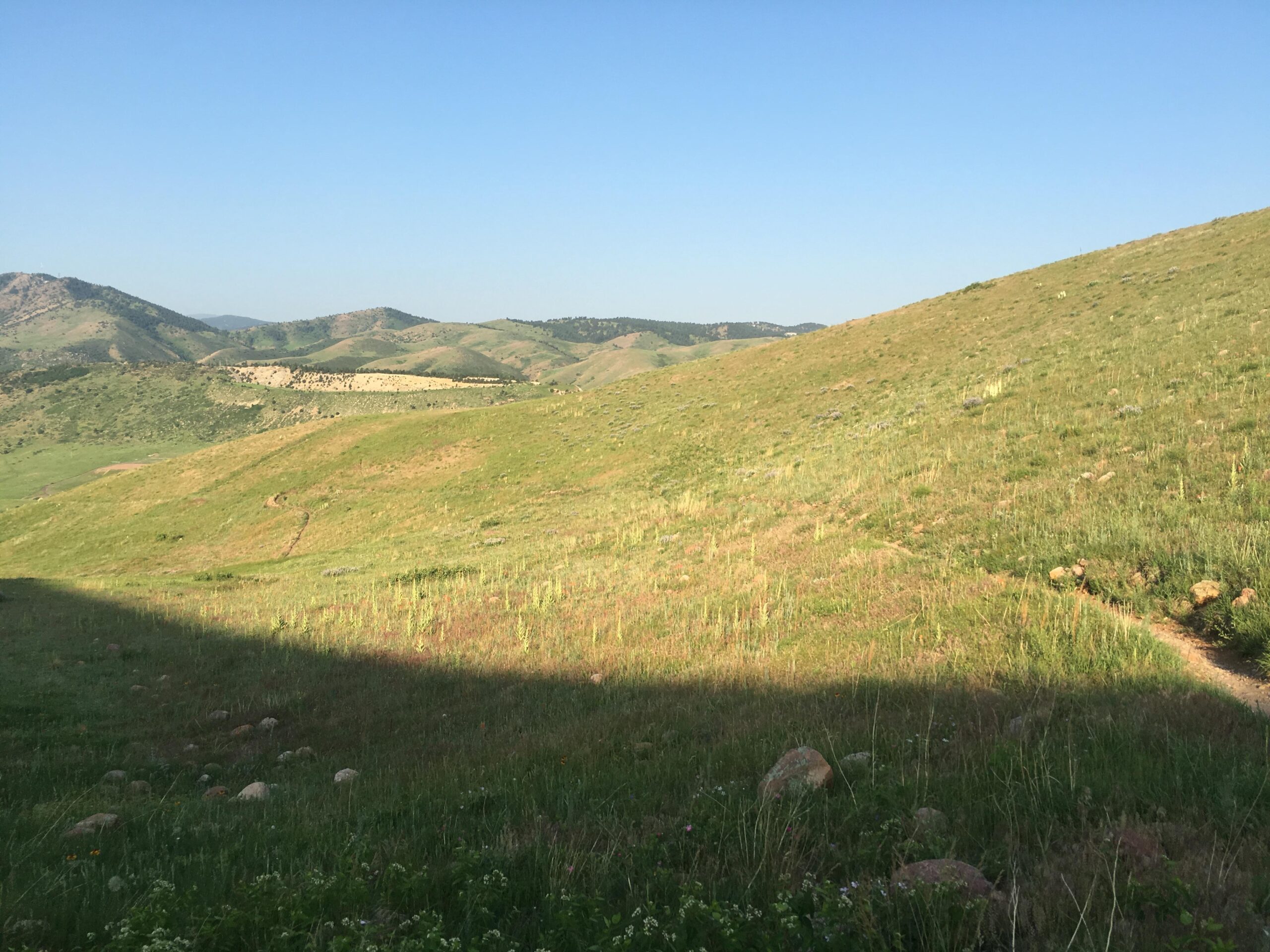 A scenic view of rolling green hills under a clear blue sky, with a path winding through the grassy landscape and distant mountains in the background. The foreground features patches of wildflowers and rocks scattered across the ground. Green Mountain mountain bike trail.