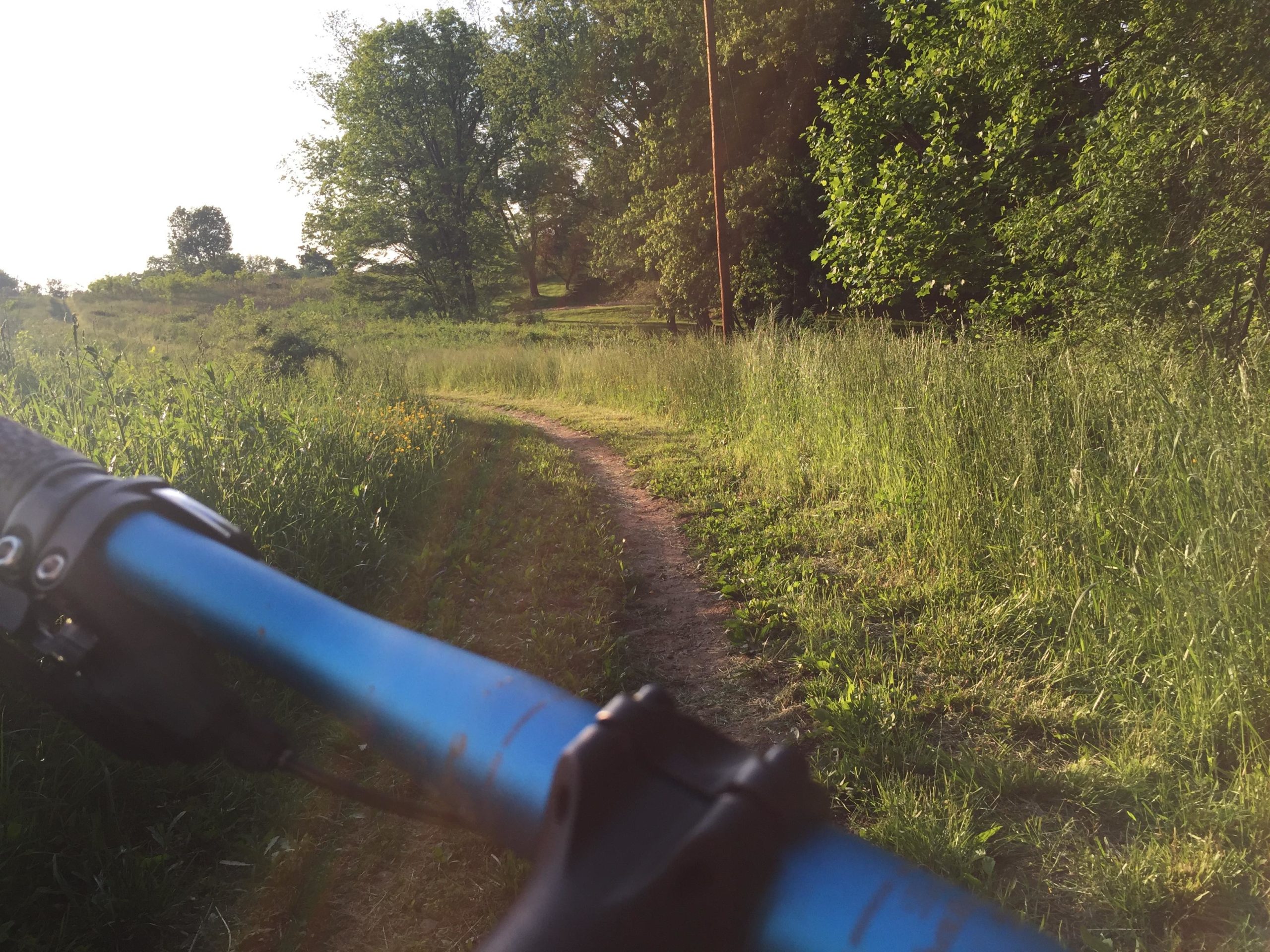 A close-up view of a bicycle handlebar in the foreground, with a winding dirt path leading through lush greenery in the background. The scene is illuminated by warm sunlight filtering through trees, creating a serene outdoor atmosphere. Brandywine State Park mountain bike trail.