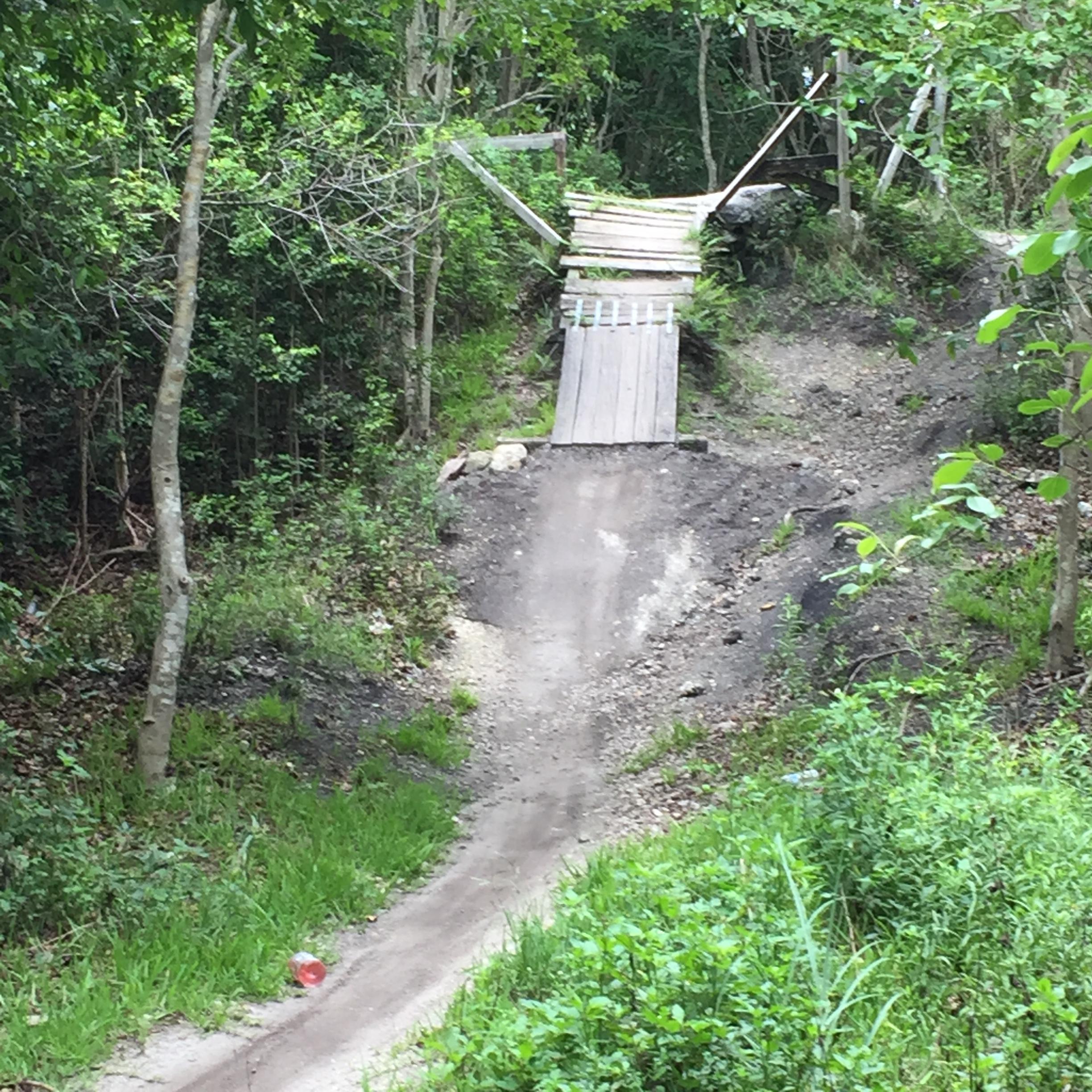A dirt bike ramp made of wooden planks, set in a wooded area with lush greenery surrounding it. The ramp leads from a sloped dirt path into the trees, suggesting a location for mountain biking or off-road cycling. Markham Park mountain bike trail.