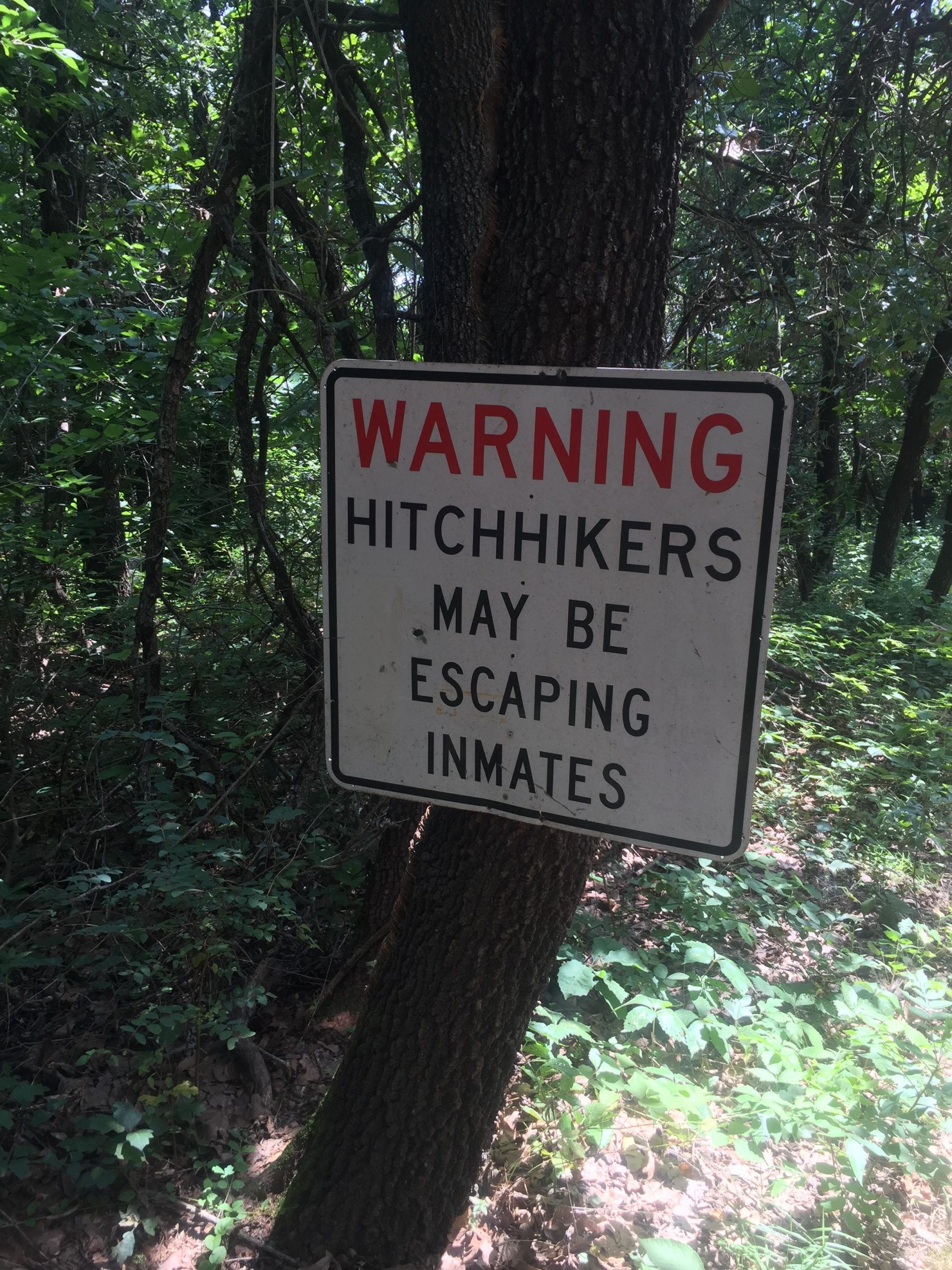 A warning sign in a wooded area that reads, "WARNING: HITCHHIKERS MAY BE ESCAPING INMATES." The sign is mounted on a tree, surrounded by lush green foliage and underbrush. Lake Stanley Draper mountain bike trail.
