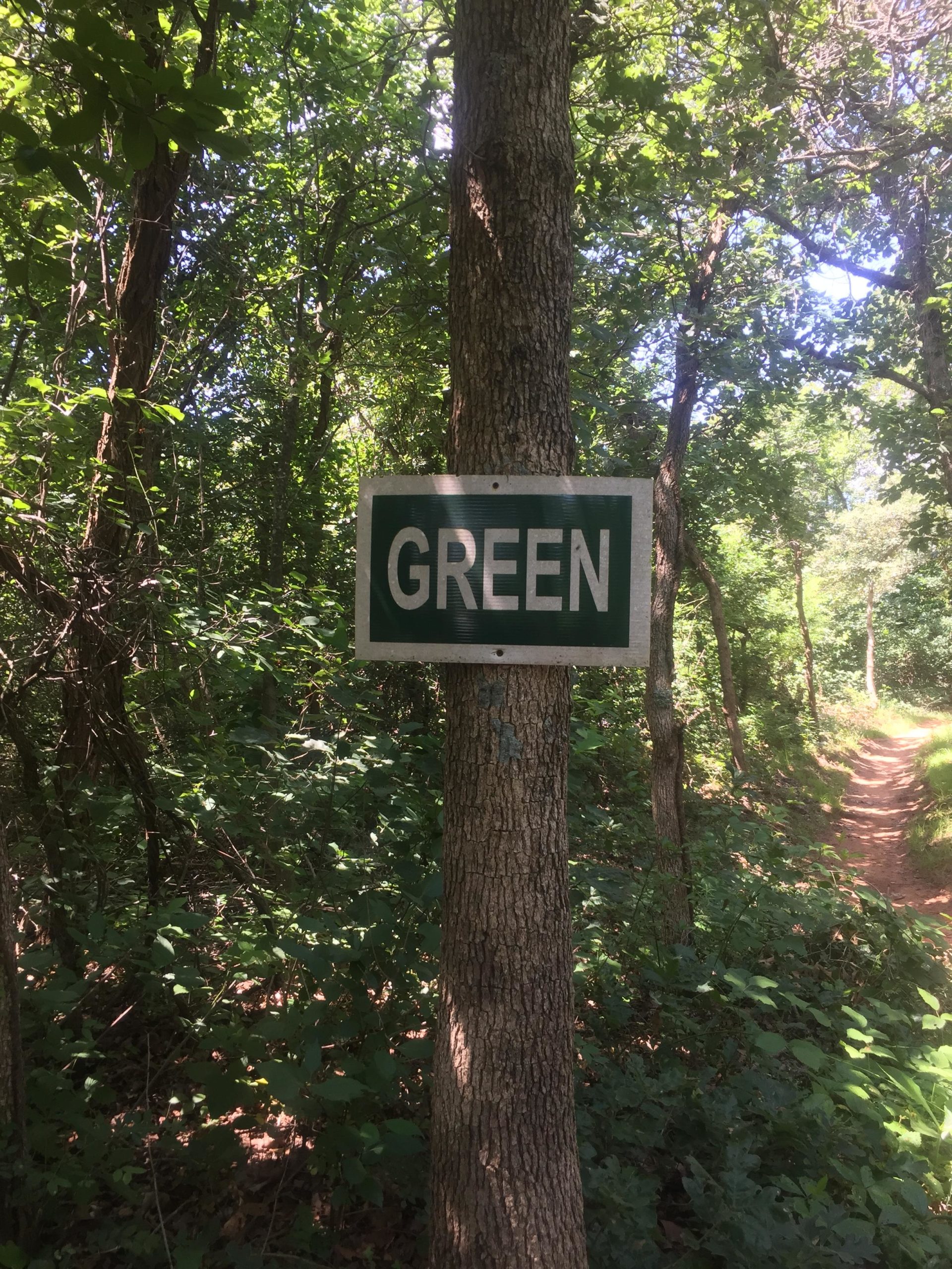 A green sign reading "GREEN" mounted on a tree in a dense wooded area, with a winding dirt path visible in the background surrounded by greenery. Lake Stanley Draper mountain bike trail.