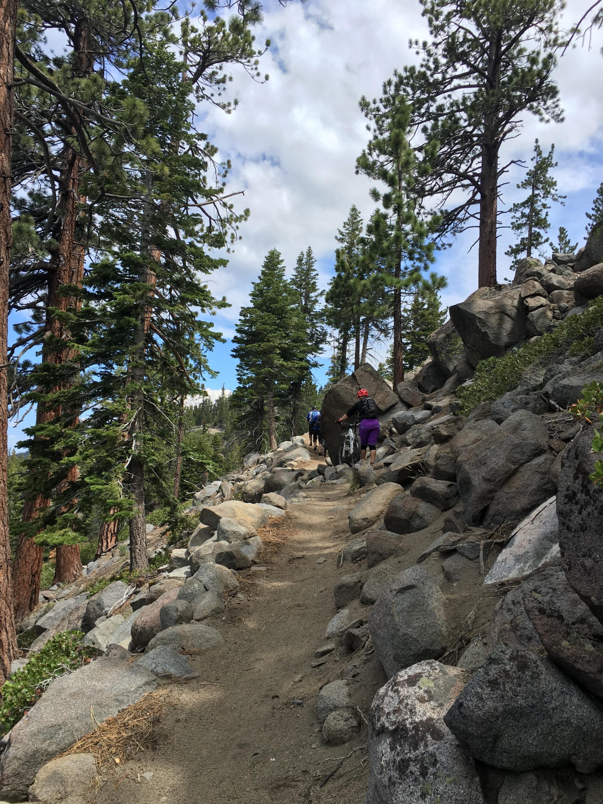 A winding hiking trail through a rocky landscape, flanked by tall pine trees under a partly cloudy sky. Hikers can be seen traversing the path, surrounded by large stones and greenery, showcasing a scenic outdoor environment. Tahoe Rim Trail: Kingsbury to Van Sickle mountain bike trail.