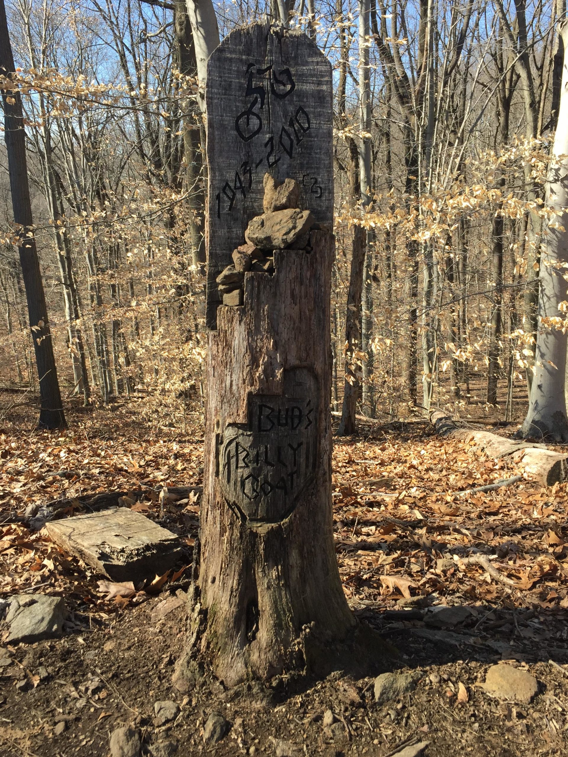 A weathered wooden post in a forest setting, marked with carvings including a bicycle symbol and text that reads "Bub's Family Trail" along with some numbers. Small stones are stacked on top of the post, and the surrounding area is covered in fallen leaves. Sparse trees with faint yellow leaves are visible in the background. Brandywine State Park mountain bike trail.
