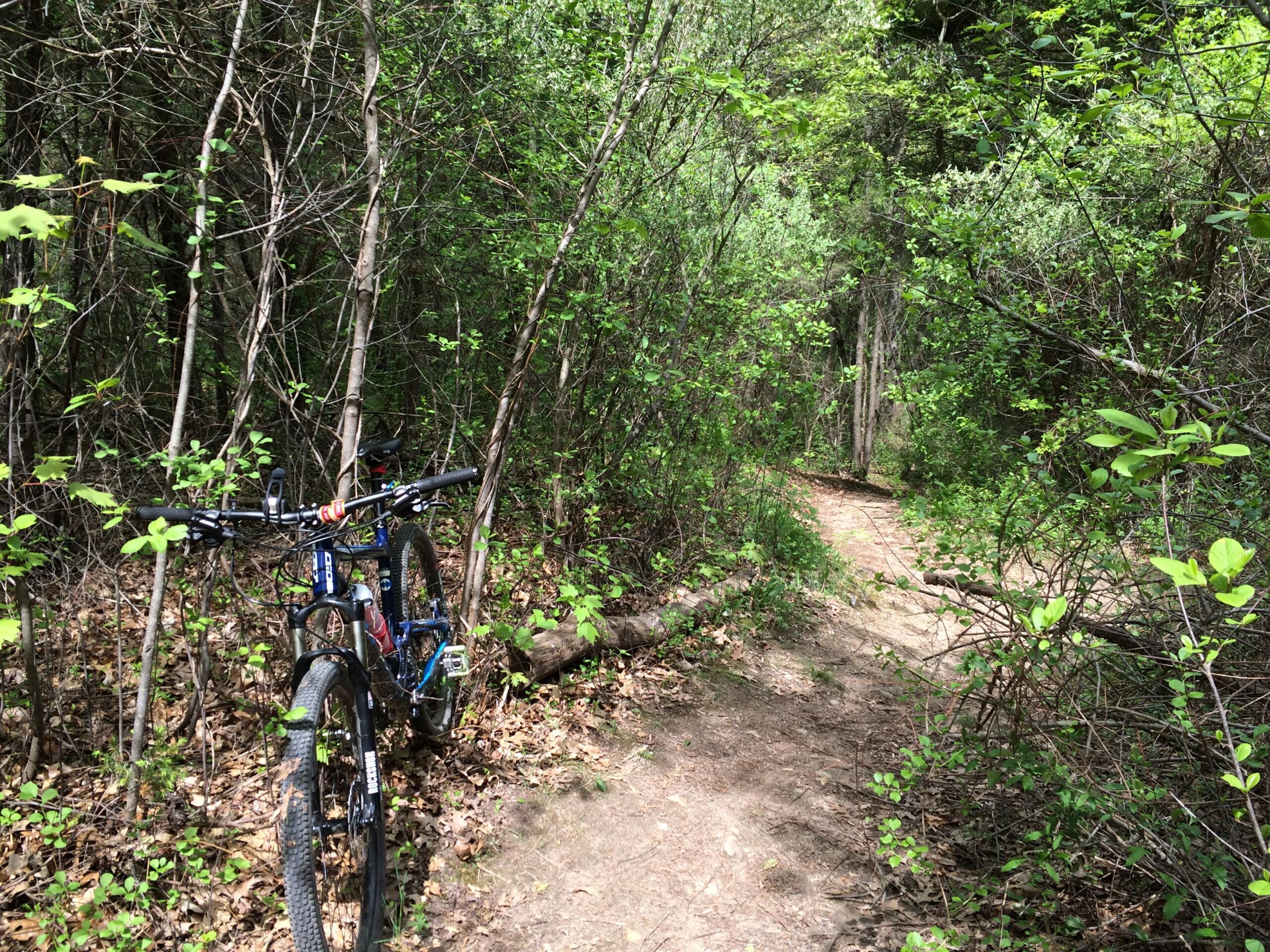 GT Helion: A mountain bike is parked on a dirt trail surrounded by dense greenery and trees. The path winds through the woods, with sunlight filtering through the leaves, suggesting a tranquil outdoor setting for cycling or hiking.