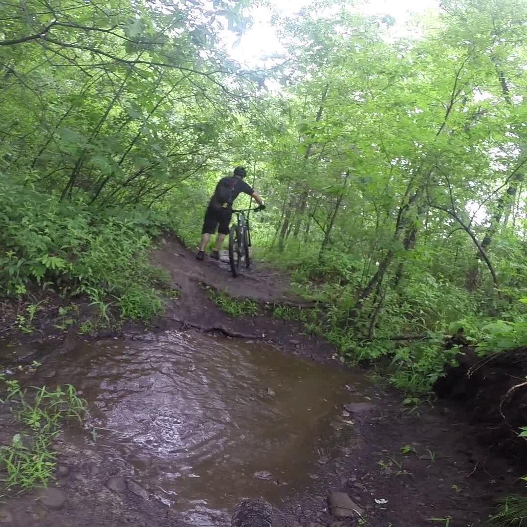 A person pushing a mountain bike along a muddy trail surrounded by lush greenery, with a small puddle of water visible in the foreground. Stewart State Forest mountain bike trail.