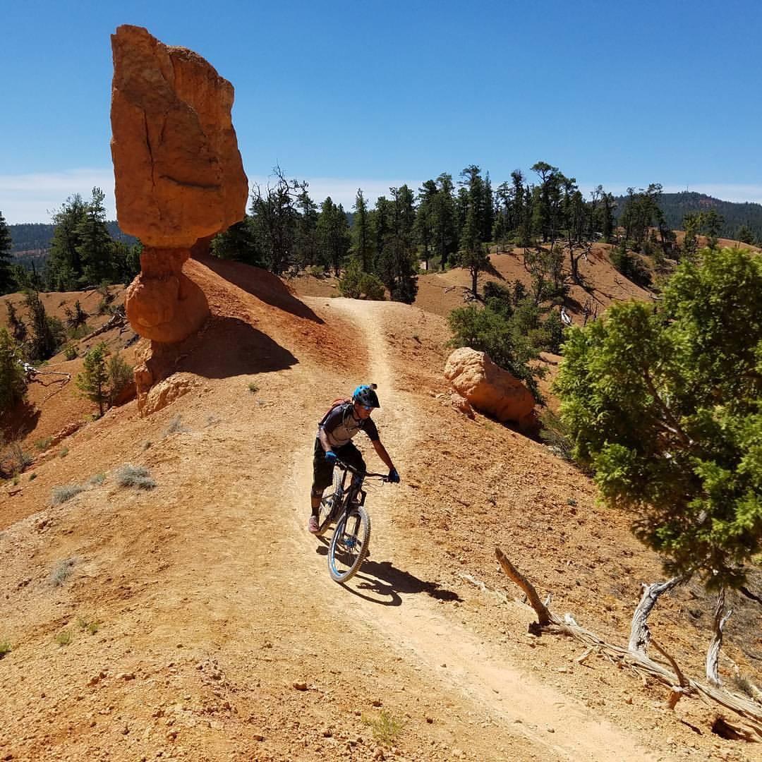 A mountain biker riding along a dusty trail in a desert landscape, with a large rock formation balancing above a ridge in the background, surrounded by pine trees and a clear blue sky. Thunder Mountain mountain bike trail.
