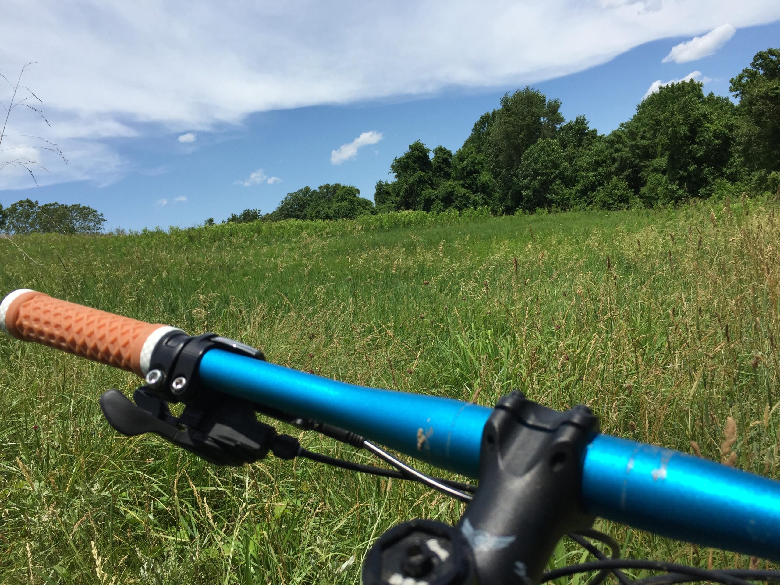 A close-up view of a bike handlebar with a textured orange grip, set against a backdrop of lush green grass and trees under a partly cloudy sky. White Clay Creek mountain bike trail.