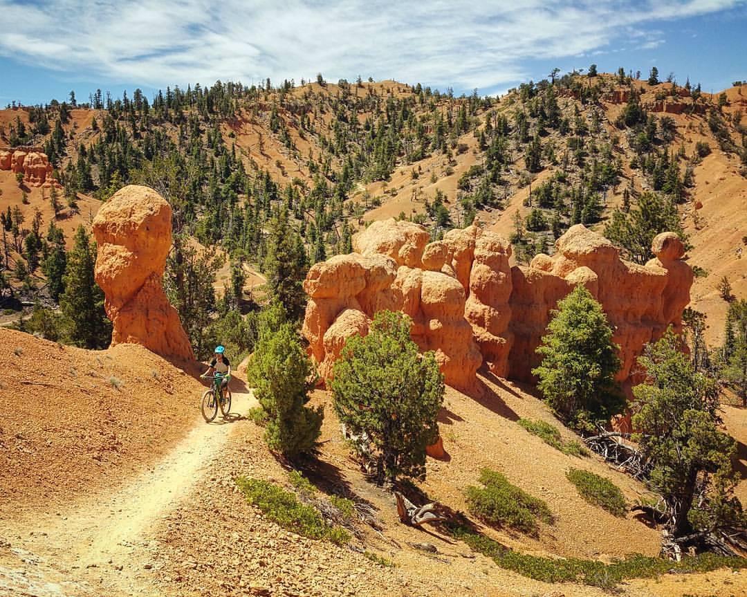 A mountain biker rides along a dirt trail in a rugged, orange landscape featuring unique rock formations and scattered pine trees under a bright blue sky. Thunder Mountain mountain bike trail.