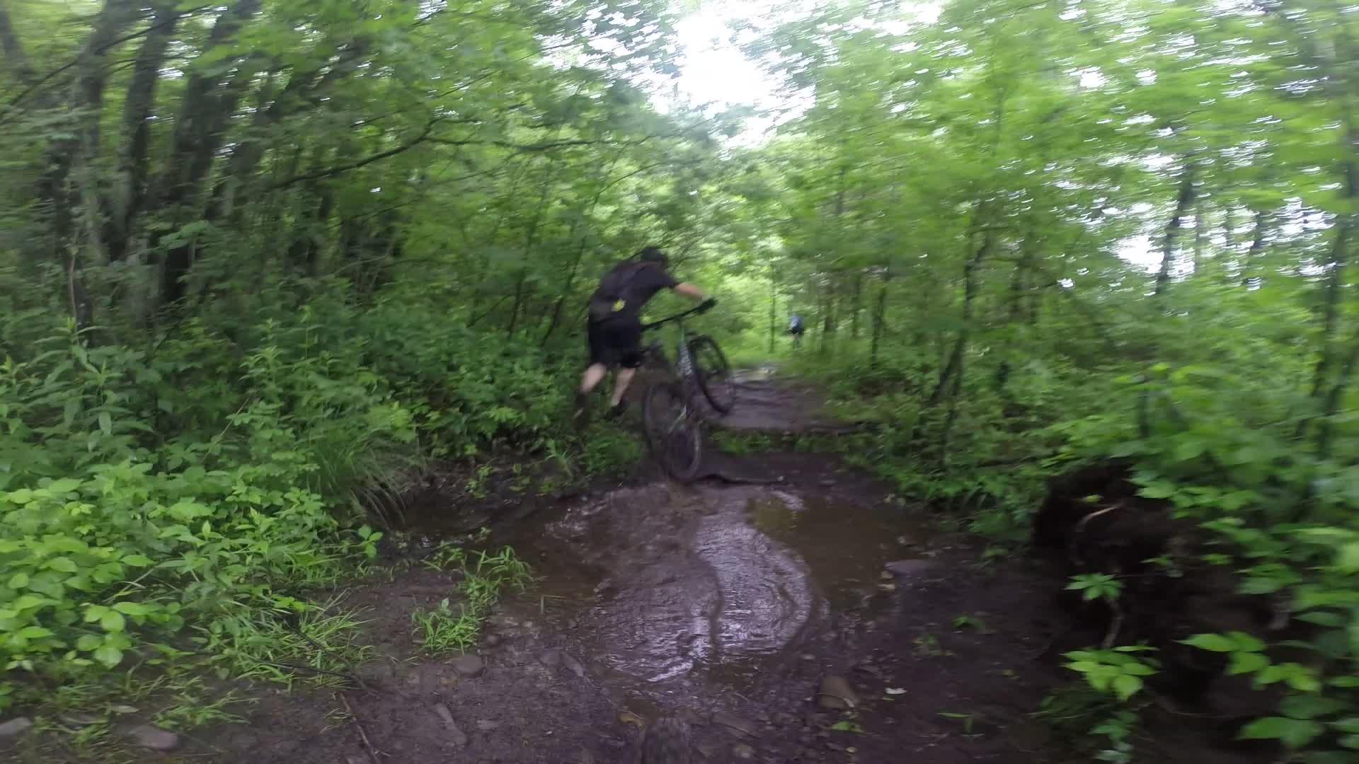 A mountain biker lifts the front wheel of their bike while navigating through a muddy trail in a lush, green forest. The scene captures the dynamic movement as the rider prepares to cross a puddle, surrounded by dense vegetation and trees. Stewart State Forest mountain bike trail.