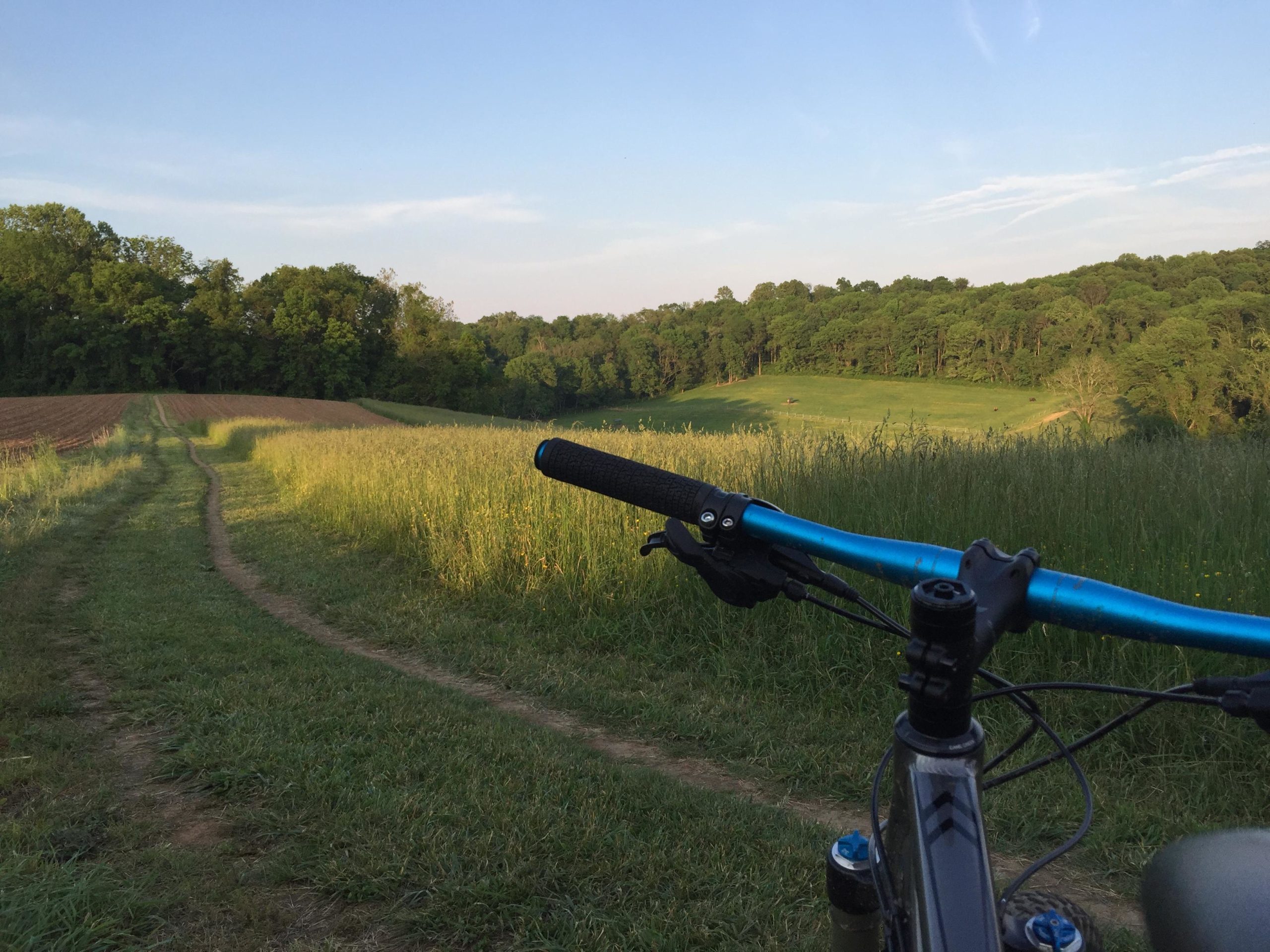 A scenic view of a dirt bike trail winding through lush green fields and wooded areas, with a mountain bike's handlebars in the foreground. The landscape features tall grass, a plowed field, and a clear blue sky, suggesting early evening light. Brandywine State Park mountain bike trail.