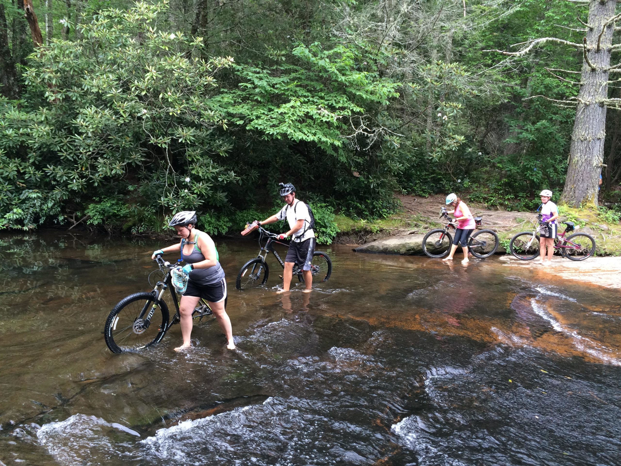 Four individuals are wading through a shallow, clear stream while pushing mountain bikes. They are surrounded by lush greenery, including a large tree and various plants. Some are barefoot, and a few are wearing helmets. The scene captures a moment of outdoor adventure in a natural setting. DuPont State Recreational Forest mountain bike trail.