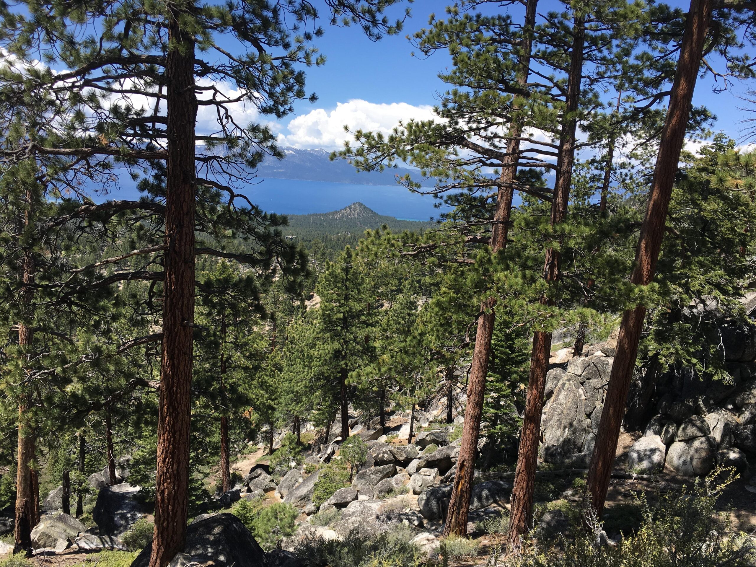 A scenic view of a forested landscape with tall pine trees in the foreground, rocky terrain visible below, and a glimpse of a blue lake in the distance under a partly cloudy sky. Tahoe Rim Trail: Kingsbury to Van Sickle mountain bike trail.