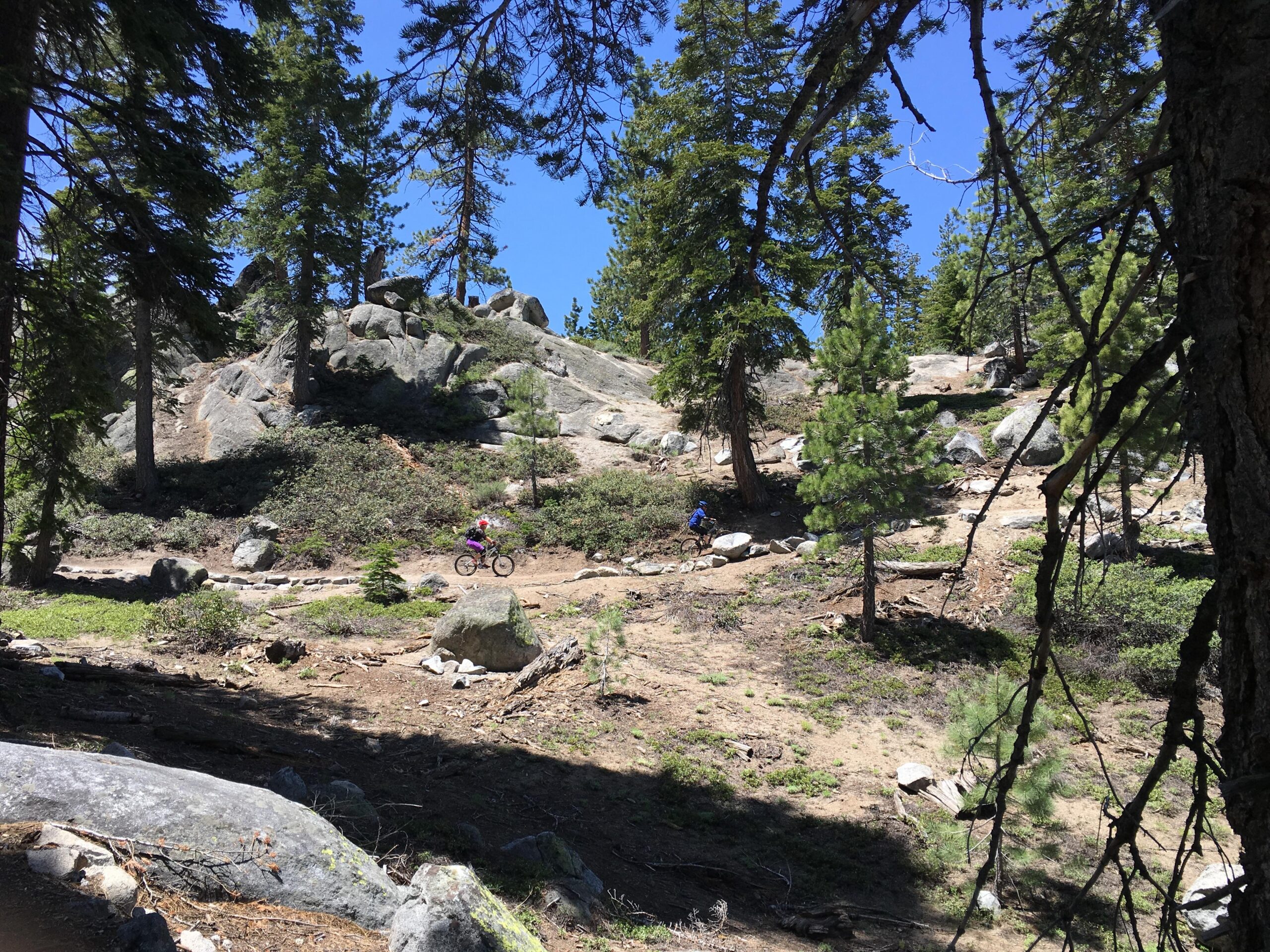 A scenic outdoor landscape featuring two mountain bikers navigating a rocky trail surrounded by tall trees and boulders. The sky is clear and blue, highlighting the natural beauty of the area. Tahoe Rim Trail: Kingsbury to Van Sickle mountain bike trail.