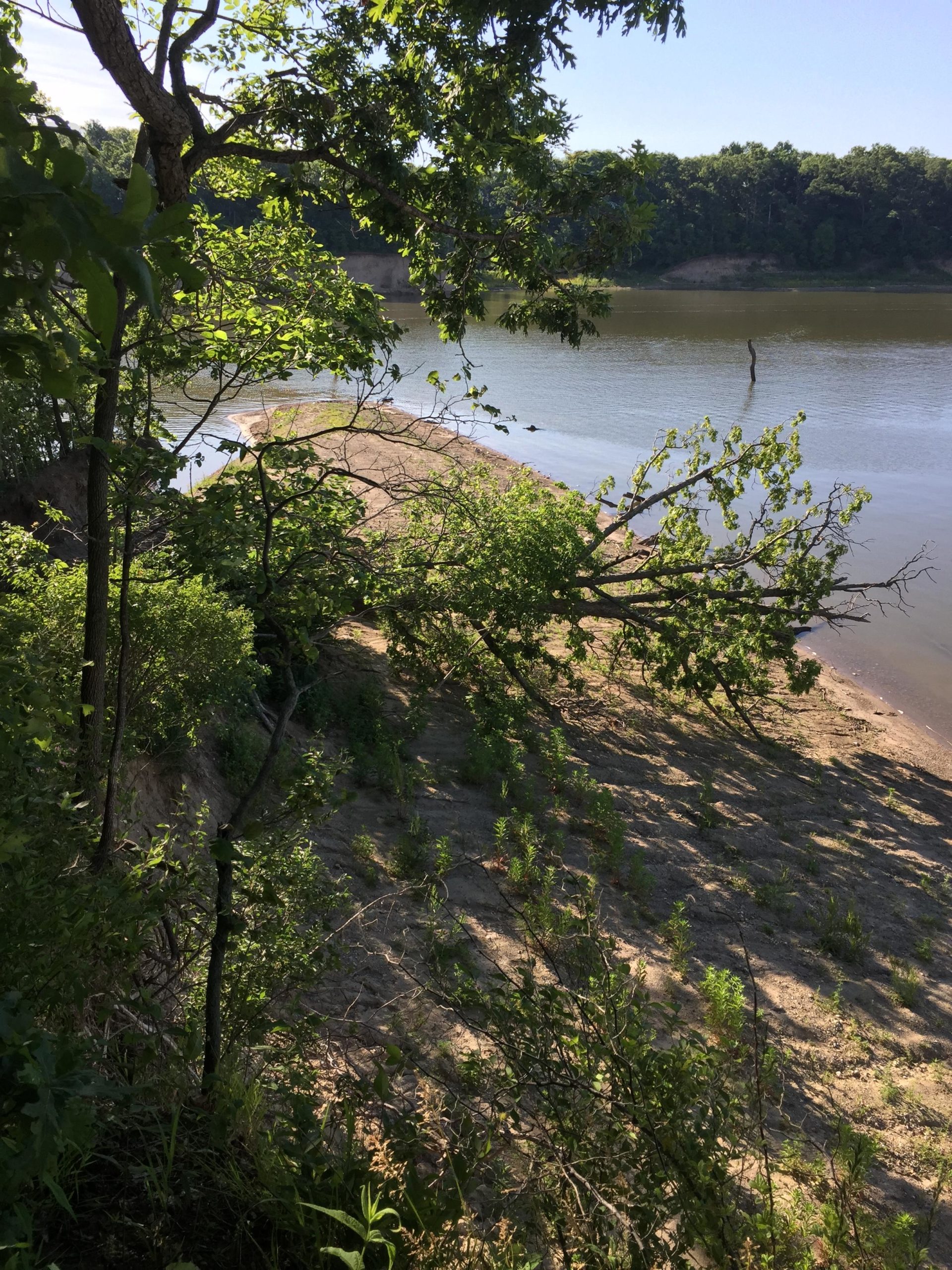 A serene view of a riverbank surrounded by lush greenery. The water reflects the blue sky, while sandy edges and a distant forest line create a peaceful natural landscape. Camp Camfield mountain bike trail.