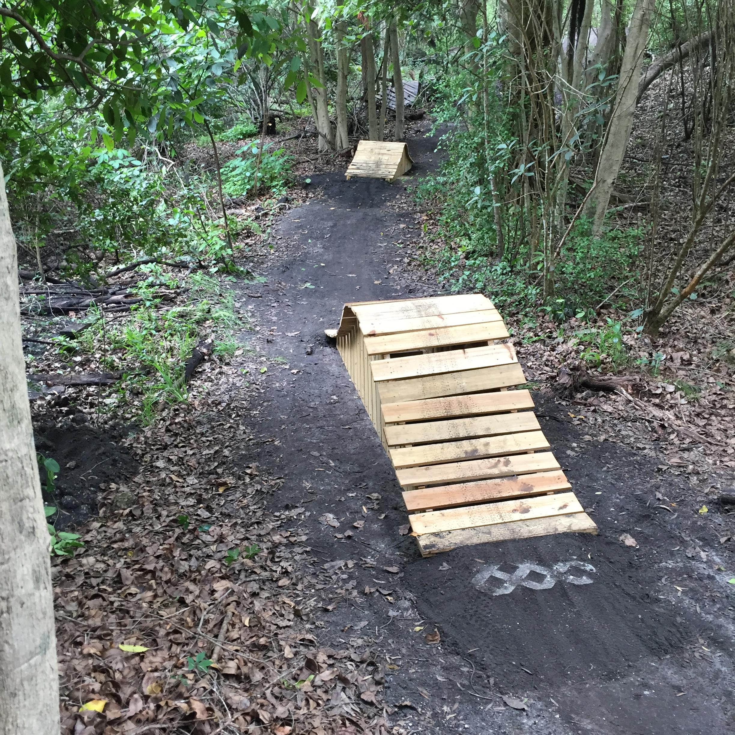 A dirt mountain bike trail in a wooded area featuring two wooden jumps. The first jump is in the foreground, with a smooth ramp made of wooden planks, while the second jump is partially visible in the background. Surrounding vegetation includes trees and underbrush with fallen leaves covering the ground. Markham Park mountain bike trail.