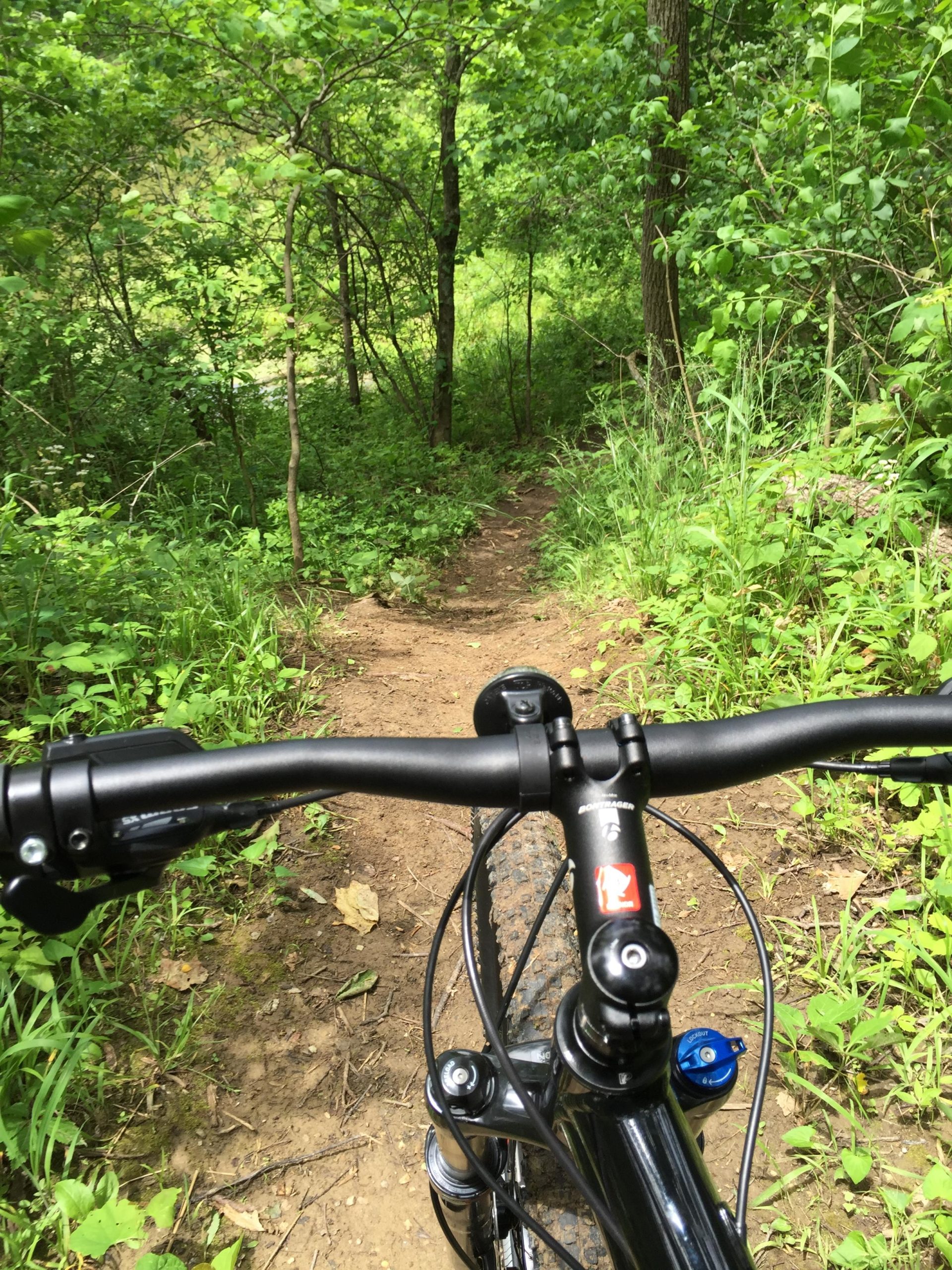 View from the handlebars of a mountain bike positioned at the edge of a narrow dirt path winding through lush greenery, with trees and grass surrounding the trail. Camp Camfield mountain bike trail.