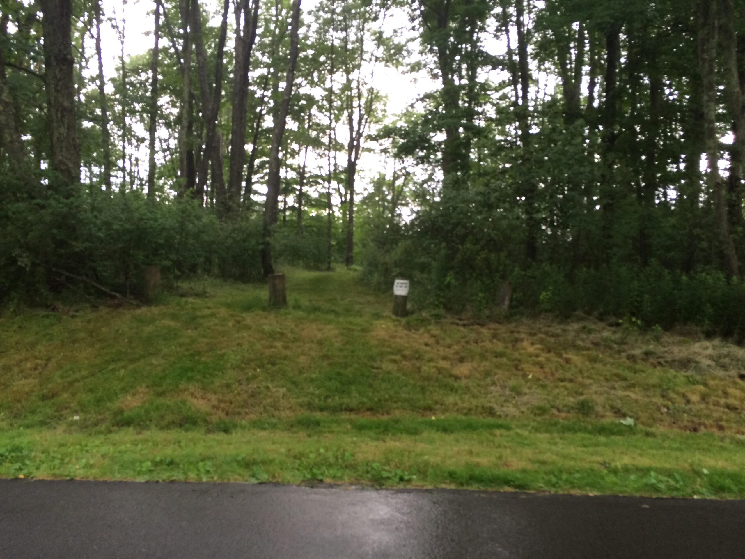 A view of a grassy pathway leading into a dense forest, with tree stumps visible on either side. The scene is overcast, indicating cloudy weather. A sign is partially visible on one of the stumps, surrounded by lush greenery. Hubbard mountain bike trail.
