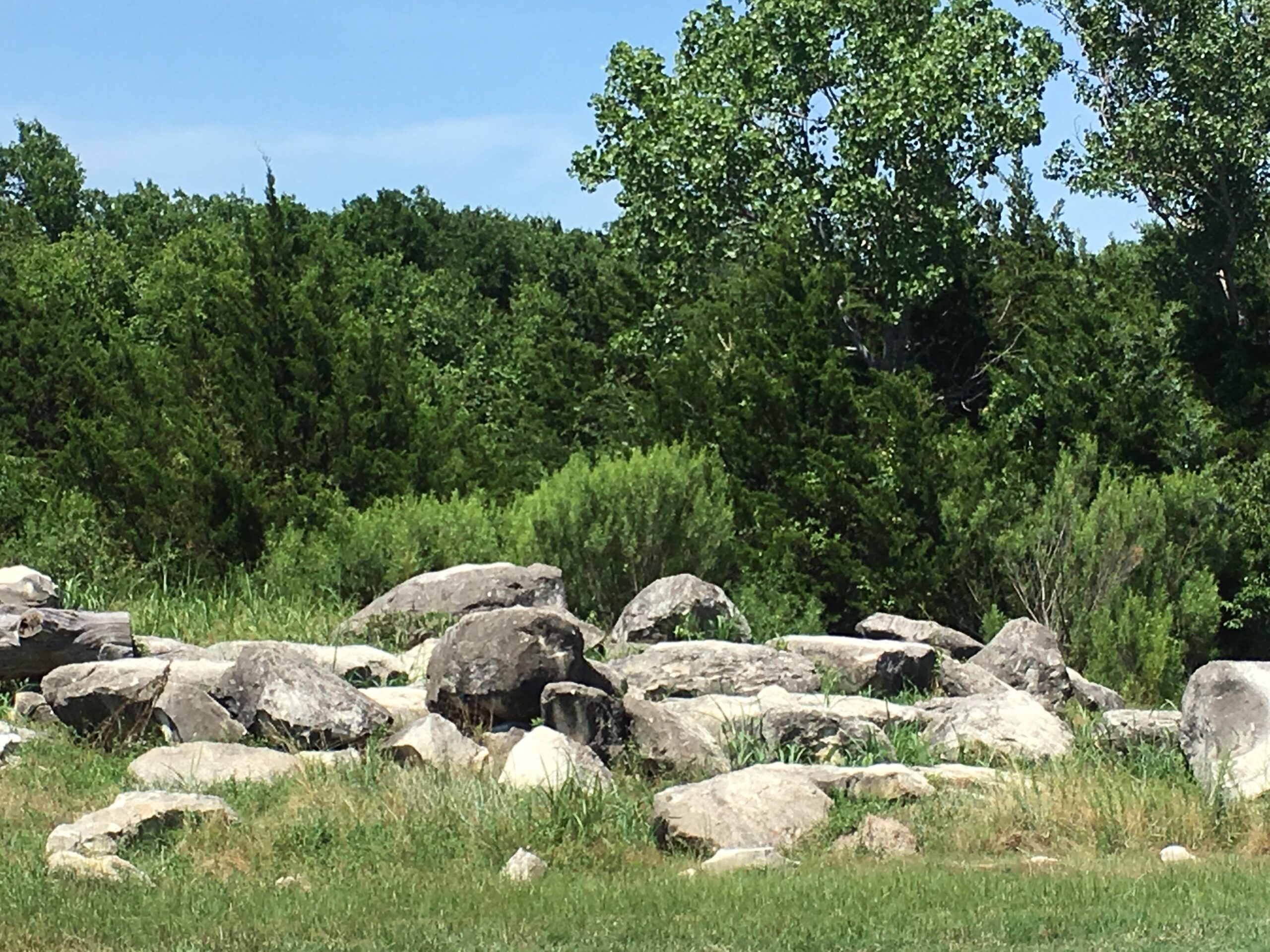 A rocky landscape featuring large stones scattered across grassy terrain, with dense green trees in the background and a clear blue sky above. Big Cedar Wilderness Trails mountain bike trail.