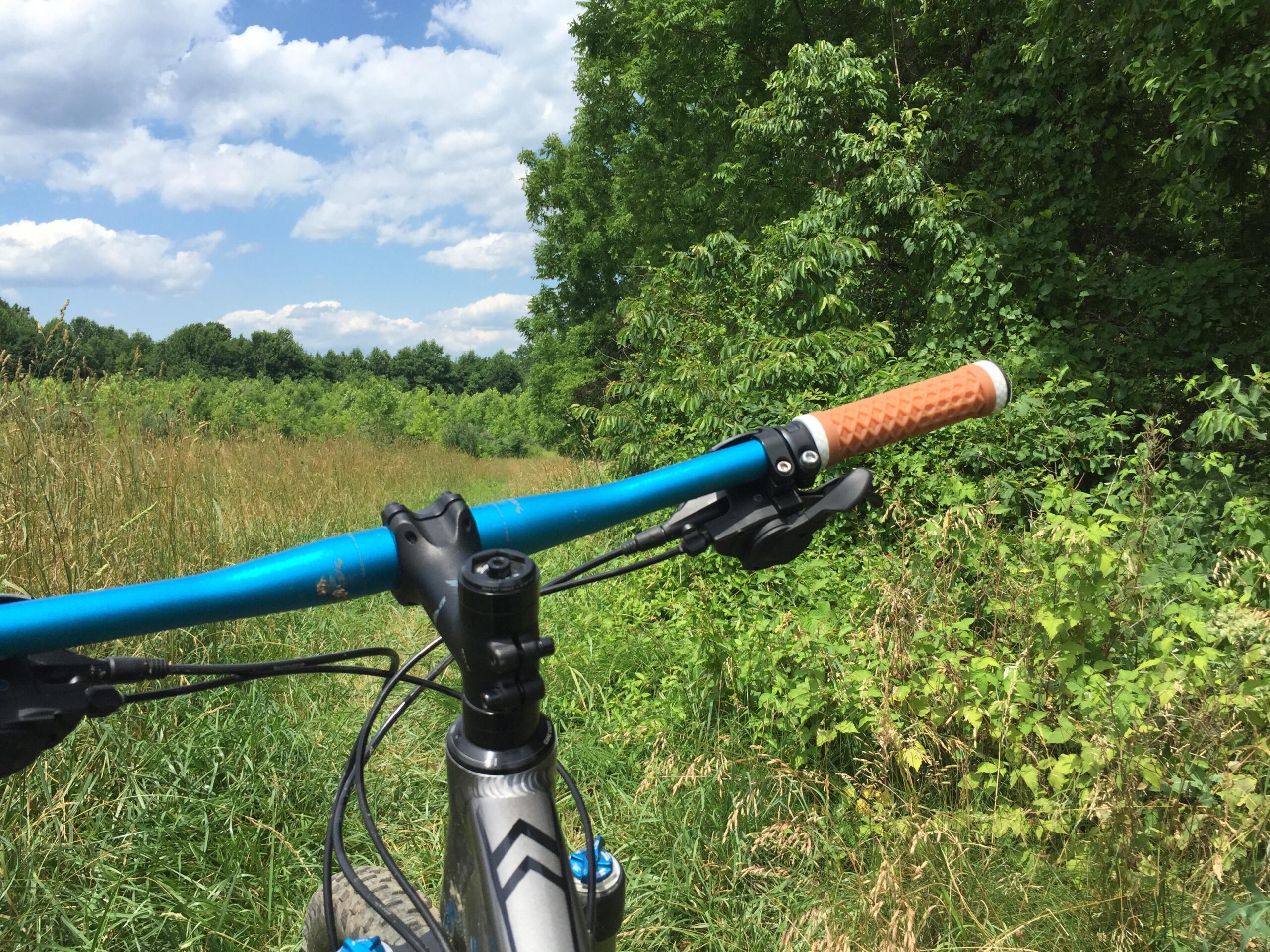 Close-up view of a mountain bike's handlebar with a blue grip and an orange textured grip, set against a backdrop of green vegetation and a partly cloudy sky. The scene captures a natural, outdoor environment ideal for biking. White Clay Creek mountain bike trail.