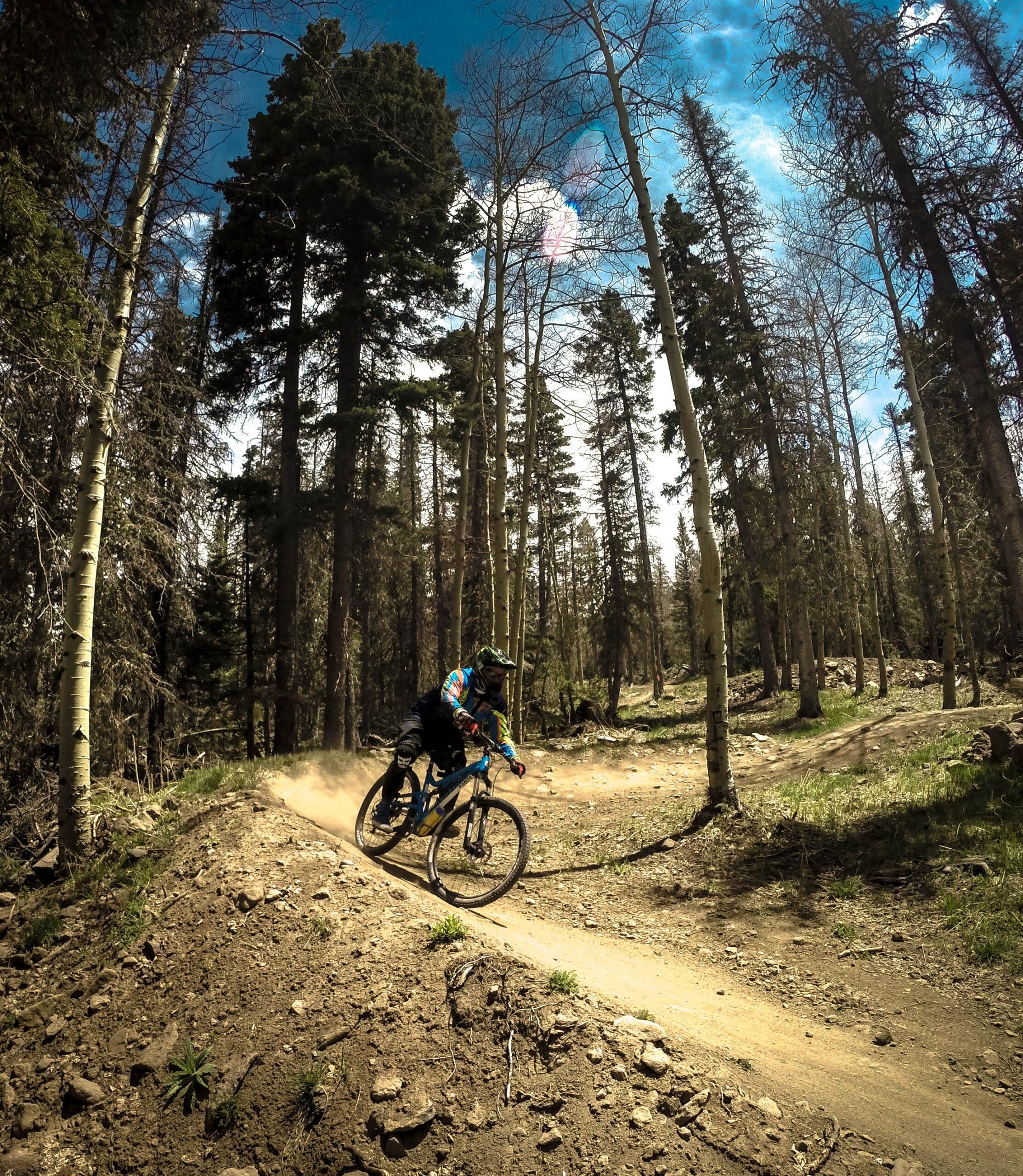 A mountain biker navigating a dirt path through a forest, surrounded by tall trees and blue skies, creating a cloud of dust as they make a sharp turn. Angel Fire Bike Park mountain bike trail.