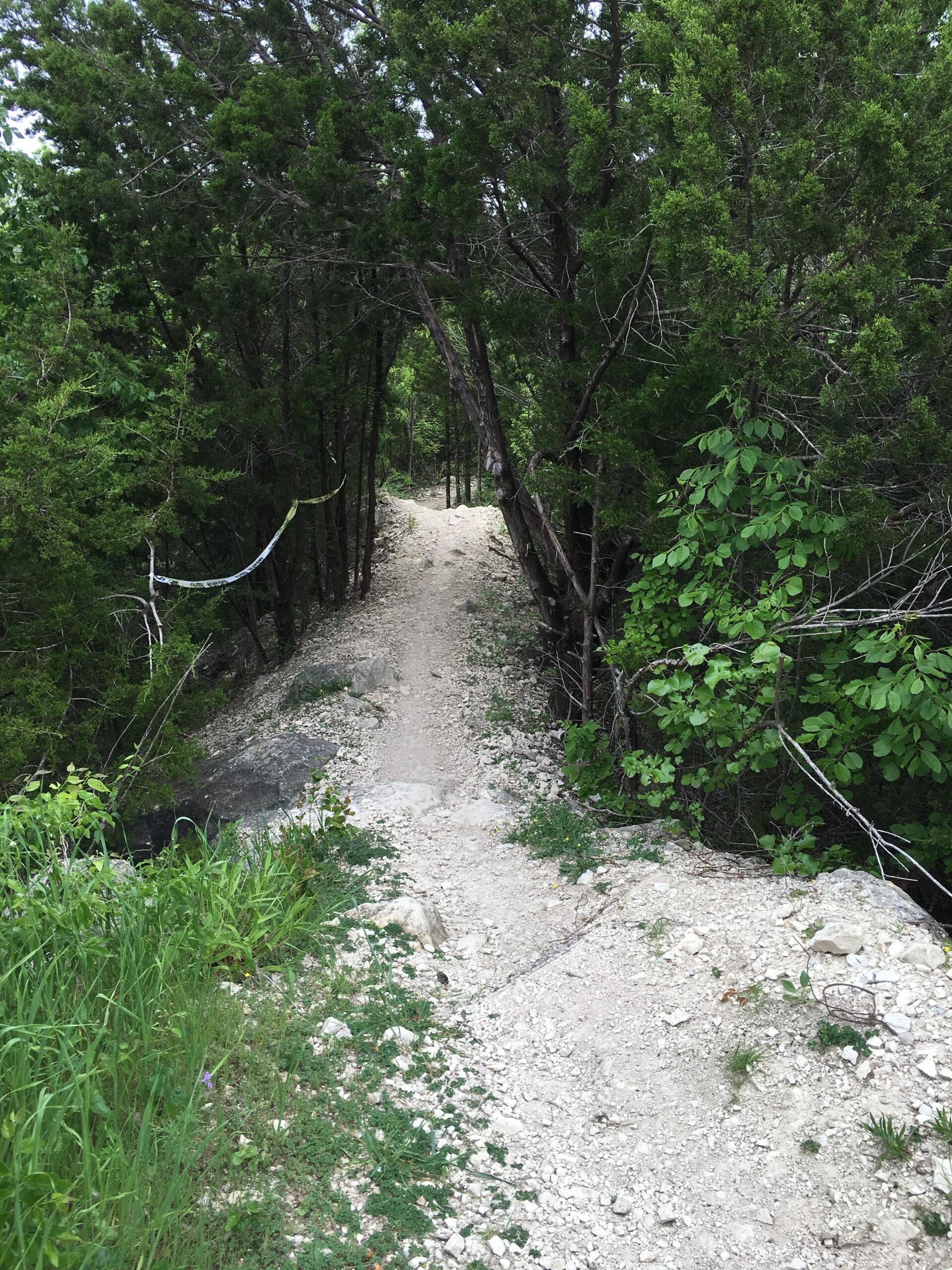 A narrow dirt path winding through a dense area of green trees and shrubs, surrounded by rocky terrain. The path is bordered by lush grass and foliage, creating a serene, natural environment. Big Cedar Wilderness Trails mountain bike trail.