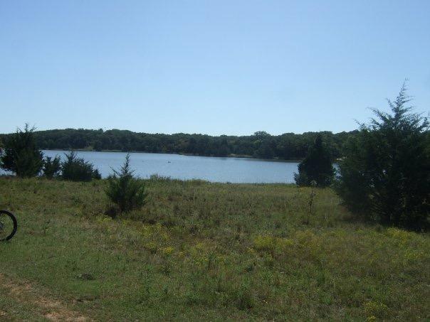 Scenic view of a calm lake surrounded by greenery under a clear blue sky. The foreground features grass and small trees, while the background showcases a forested area along the water's edge. McMurtry Trail mountain bike trail.