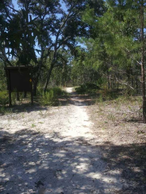 A sandy path winding through a dense forest with trees and underbrush on either side. A wooden sign is visible to the left, partially obscured by foliage. The scene is bright and sunny, with dappled shadows on the ground. Paisley Woods Trail mountain bike trail.