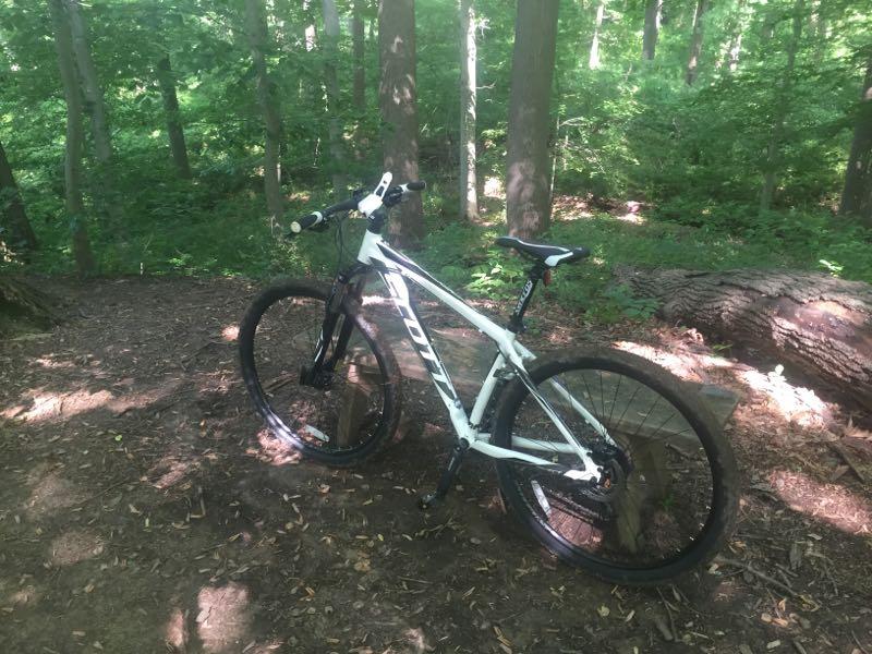A white mountain bike resting on a wooden log in a lush green forest. Sunlight filters through the trees, illuminating the surrounding foliage and creating a natural, serene atmosphere. The ground is covered with fallen leaves and dirt. White Clay Creek mountain bike trail.
