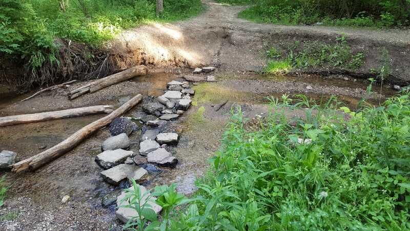 A shallow stream with stepping stones crosses a dirt path surrounded by lush greenery and tree trunks. Sunlight filters through the leaves, highlighting the tranquility of the natural scene. Raceway Woods mountain bike trail.