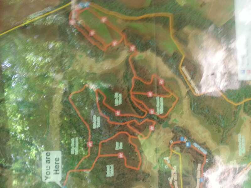 A trail map of a park showing various hiking and biking routes marked in orange, along with a "You are Here" indicator for orientation. The map includes labeled paths and nearby landmarks, with a predominantly green landscape in the background. Duck Weed Basin mountain bike trail.