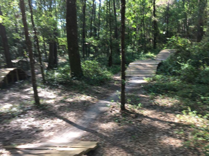 A winding path through a wooded area with wooden walkways and lush greenery. Sunlight filters through the trees, creating a serene outdoor scene. Santos mountain bike trail.