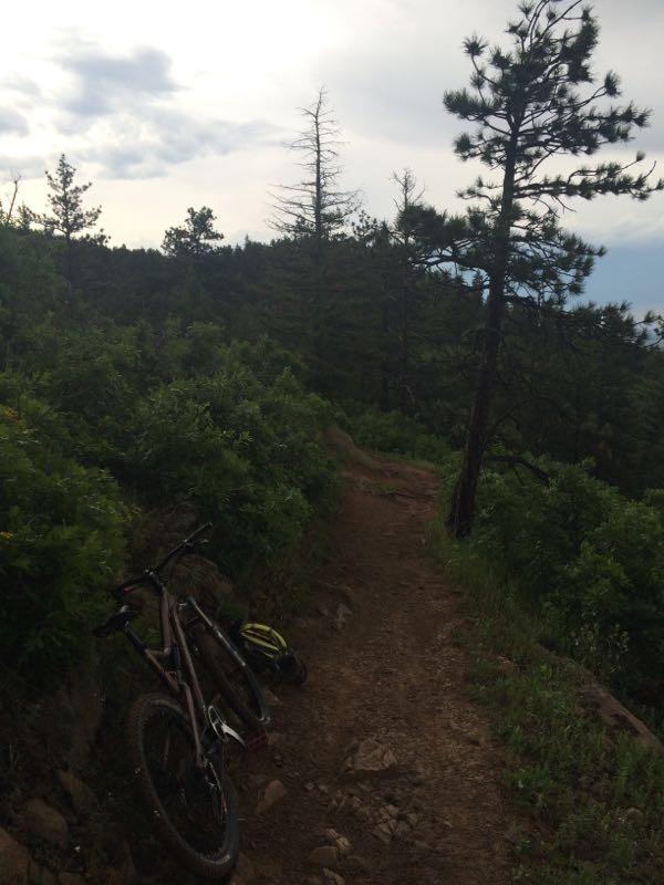 A mountain biking trail surrounded by greenery, with a bicycle and helmet resting on the ground to the left. The path is narrow and winding, flanked by trees and bushes under a cloudy sky. Deer Creek Canyon mountain bike trail.
