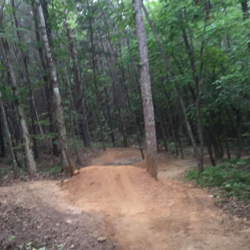 A dirt path winding through a dense forest, with trees lining either side and a small dirt jump visible on the trail. The scene is shaded by green foliage, suggesting a peaceful, natural environment. Angler's Ridge mountain bike trail.