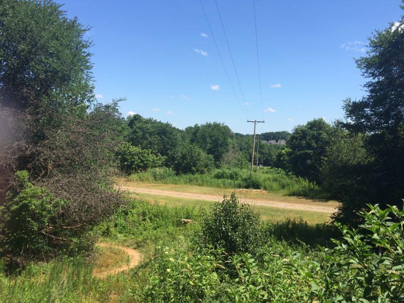 A scenic view of a dirt road surrounded by lush greenery and trees under a clear blue sky, with power lines visible in the background. Signal Hill mountain bike trail.
