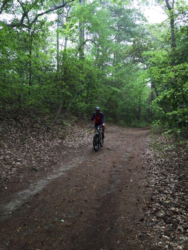 A person riding a mountain bike along a dirt trail surrounded by lush green trees and undergrowth. The image captures a serene, wooded area, with scattered leaves on the trail and soft lighting filtering through the foliage. First Landing State Park mountain bike trail.