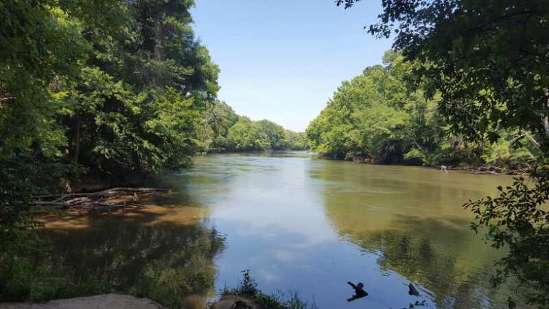 A serene view of a calm river surrounded by lush green trees under a clear blue sky, with the water reflecting the greenery. The banks of the river are lined with vegetation, creating a peaceful natural setting. Saluda Shoals Park mountain bike trail.