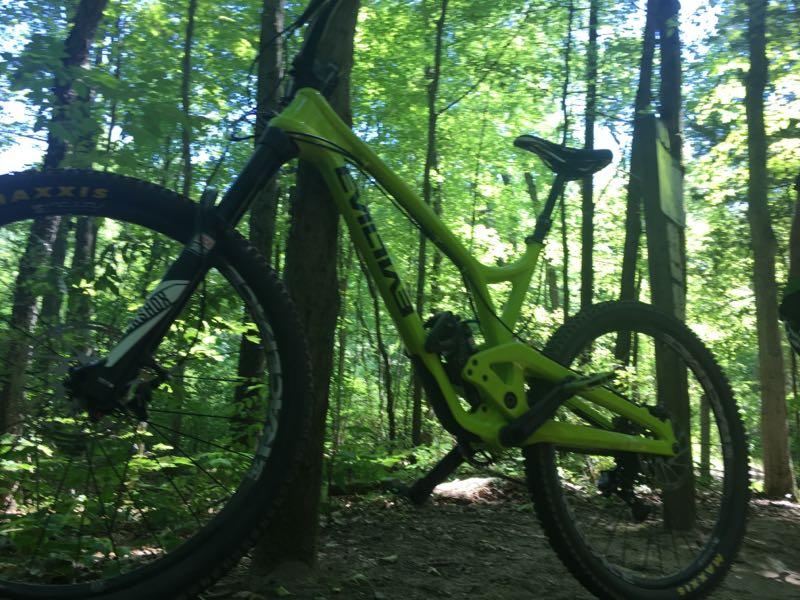 A bright green mountain bike is positioned against a tree in a lush forest, surrounded by vibrant green foliage and dappled sunlight filtering through the leaves. Potawatomi trail mountain bike trail.