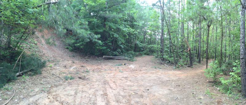 A panoramic view of a wooded area featuring a dirt path that splits into two directions, surrounded by dense green trees and underbrush. The ground is sandy with some fallen branches and small plants visible, indicating a natural environment. Legend Park mountain bike trail.