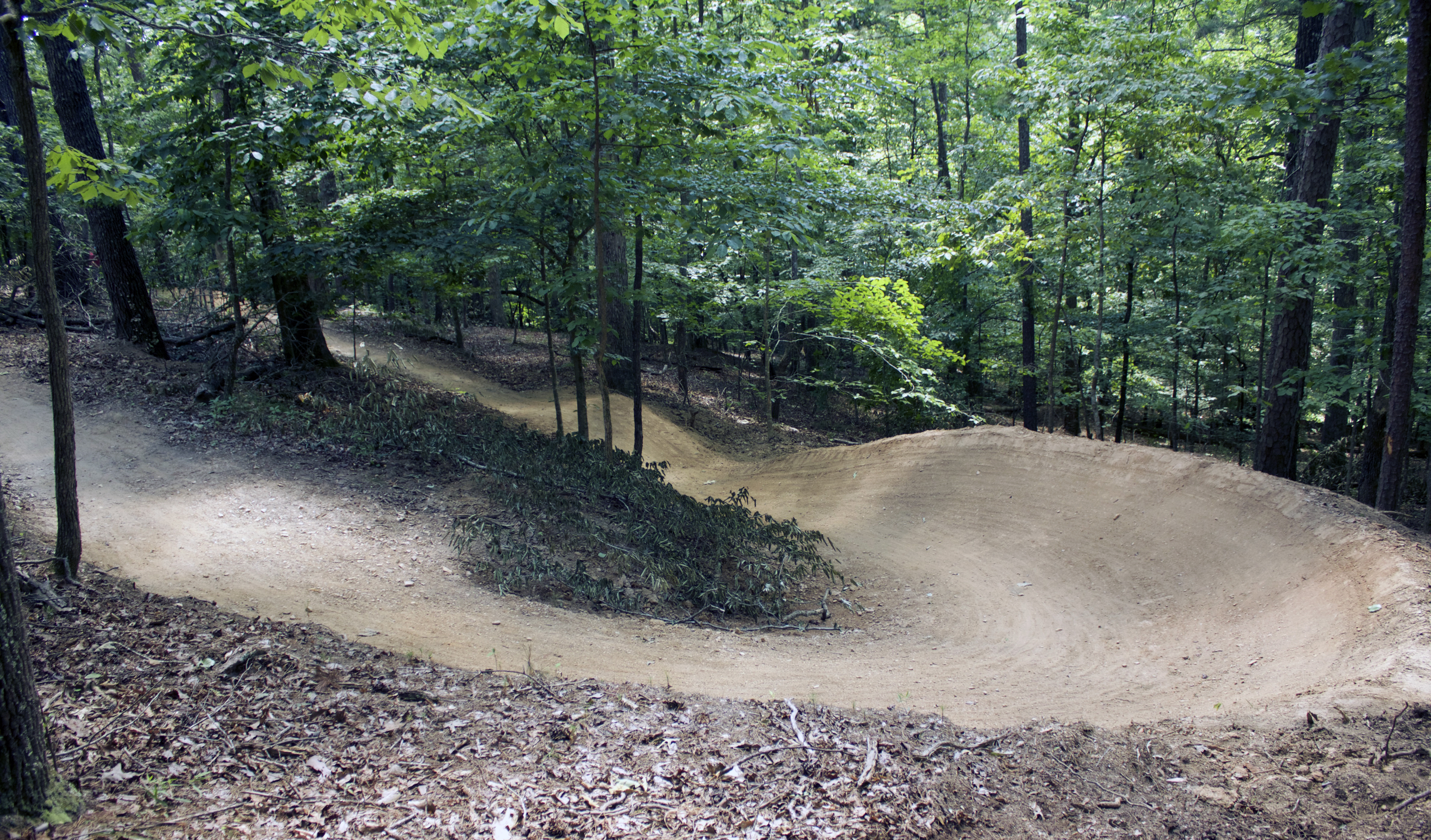 An Artist at Work Putting the Mojo Flow Back into the Van Michael