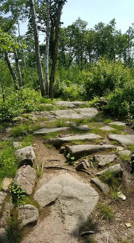 Alt tag: "A rugged stone path winding through a lush green forest, with tall trees and dense vegetation lining the trail under a clear blue sky." Nine Mile mountain bike trail.