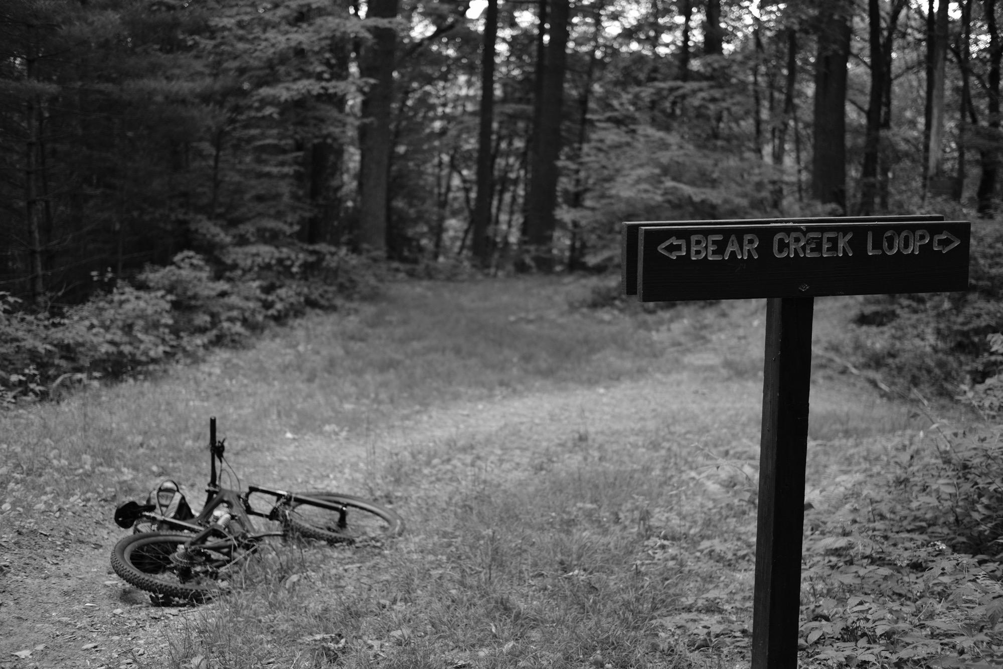 A black and white photograph of a mountain bike lying on the ground next to a wooden directional sign that reads "BEAR CREEK LOOP." The scene is set in a dense forest with tall trees and grassy trails, suggesting a remote and natural environment. Bear Creek mountain bike trail.