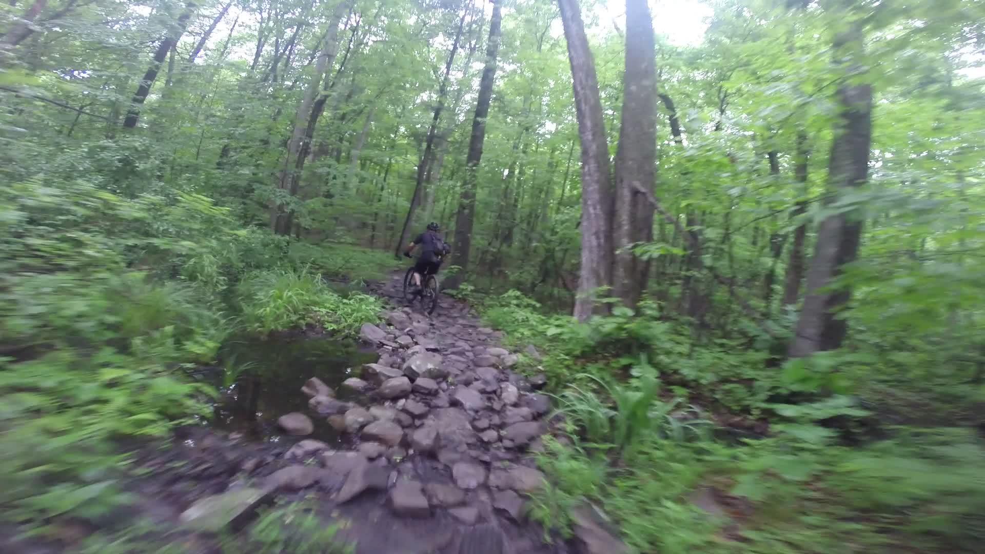 A mountain biker navigating a rocky trail through a lush green forest, surrounded by trees and vegetation, with some water visible along the path. The image captures the dynamic movement of biking in a natural outdoor setting. Stewart State Forest mountain bike trail.