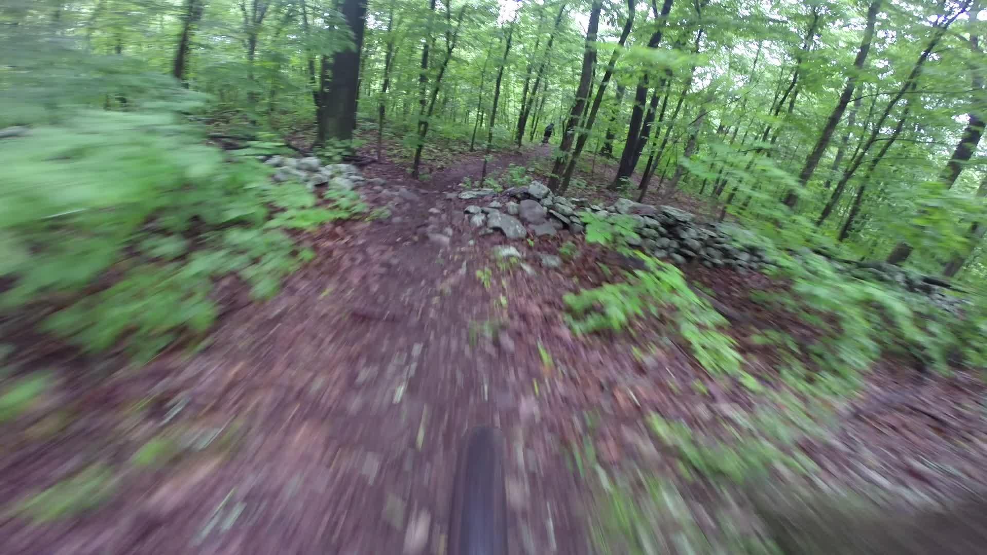 A blurred view of a bike trail winding through a lush green forest, surrounded by trees and foliage, with a stone wall visible on the side of the path. Stewart State Forest mountain bike trail.