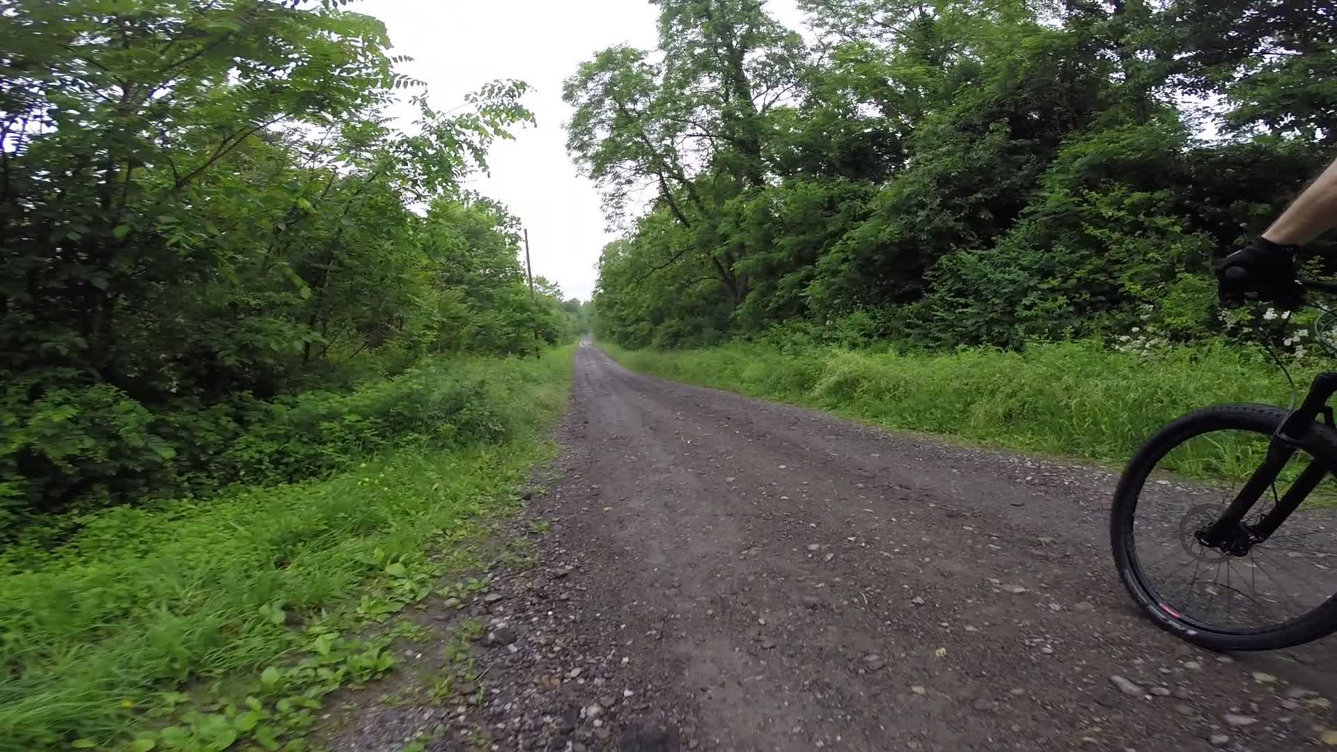 A gravel path surrounded by lush greenery and trees, stretching into the distance on a cloudy day. The image captures a peaceful outdoor setting, ideal for hiking or biking. Stewart State Forest mountain bike trail.