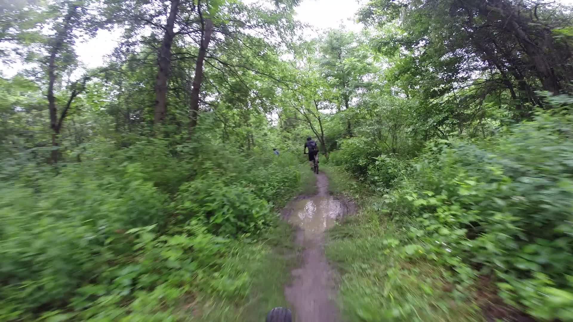 A person riding a mountain bike along a narrow, muddy trail surrounded by lush green foliage and trees. The scene captures a natural wooded area on a cloudy day. Stewart State Forest mountain bike trail.